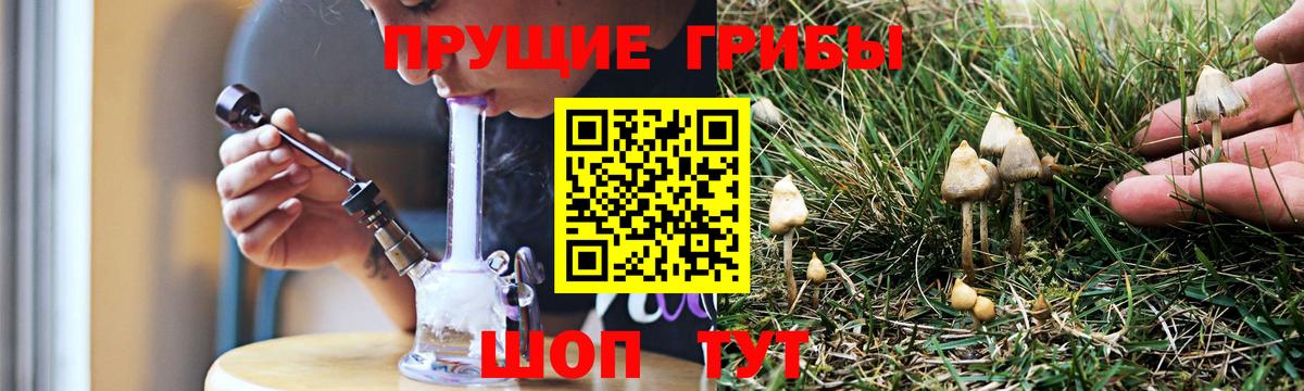 Берёзовский  Галлюциногенные грибы мухоморы  Вход с VPN 